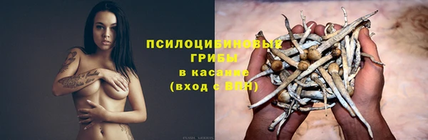 стаф Алексин