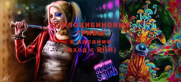 стаф Алексин